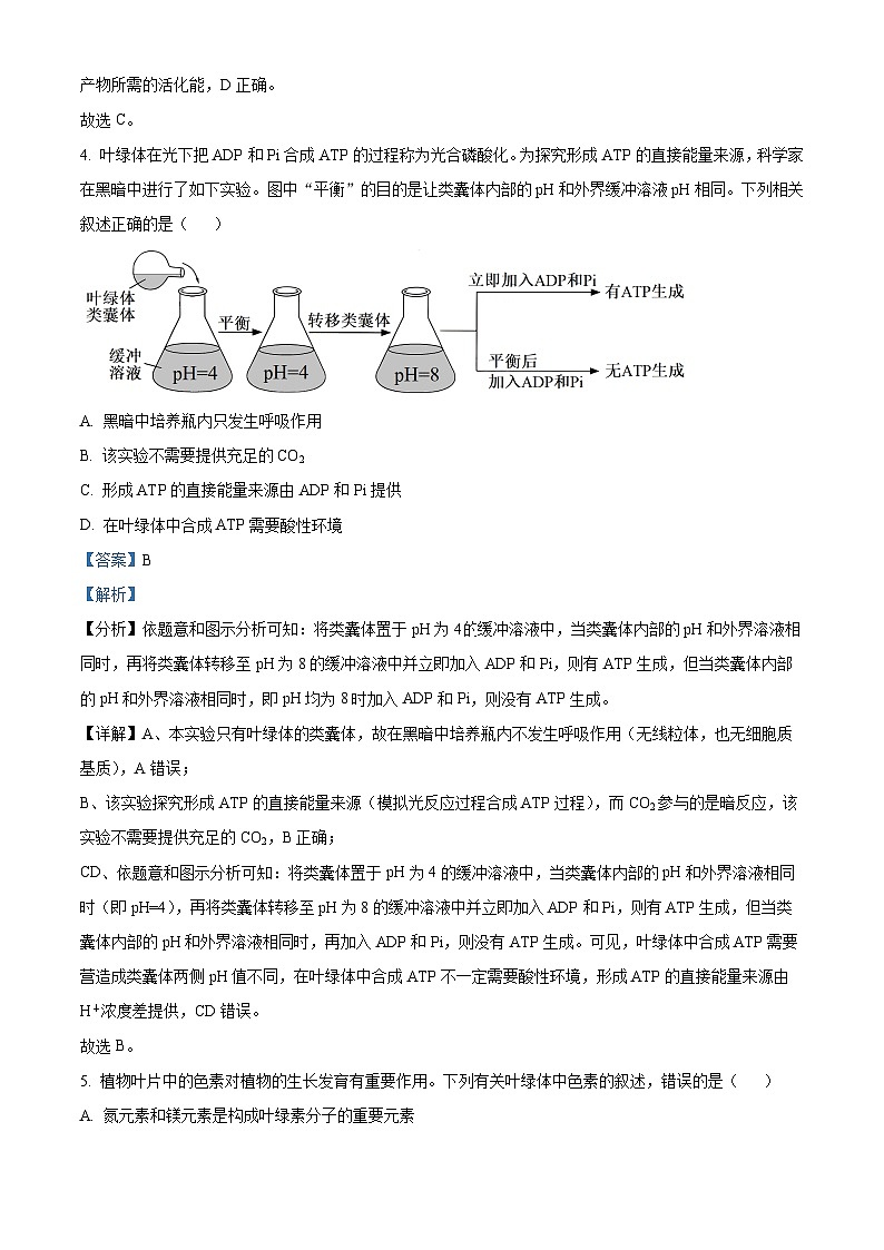湖北省武汉市华中师范大学第一附属中学2023-2024学年高三上学期期中生物试题(Word版附解析)03