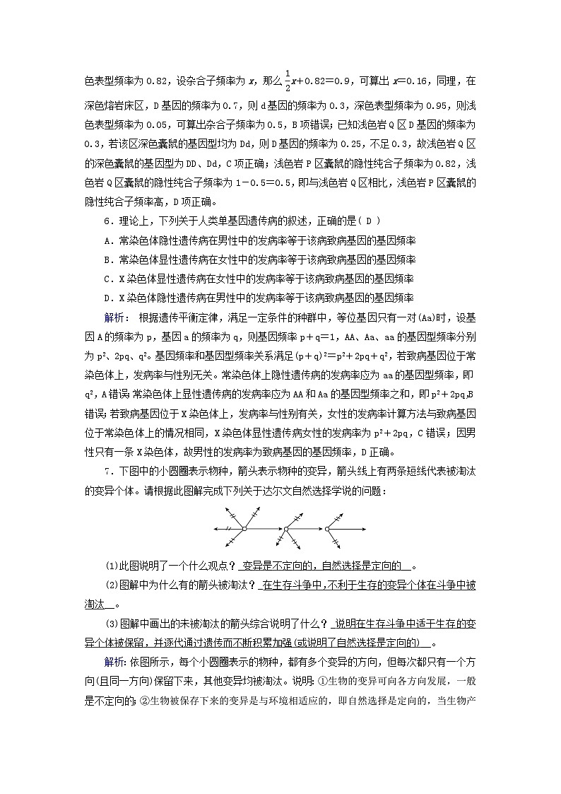 新教材适用2023_2024学年高中生物第6章生物的进化第3节种群基因组成的变化与物种的形成第1课时种群基因组成的变化夯基提能作业新人教版必修203