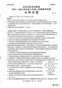 2024山东省名校考试联盟高三上学期期中检测生物PDF版无答案