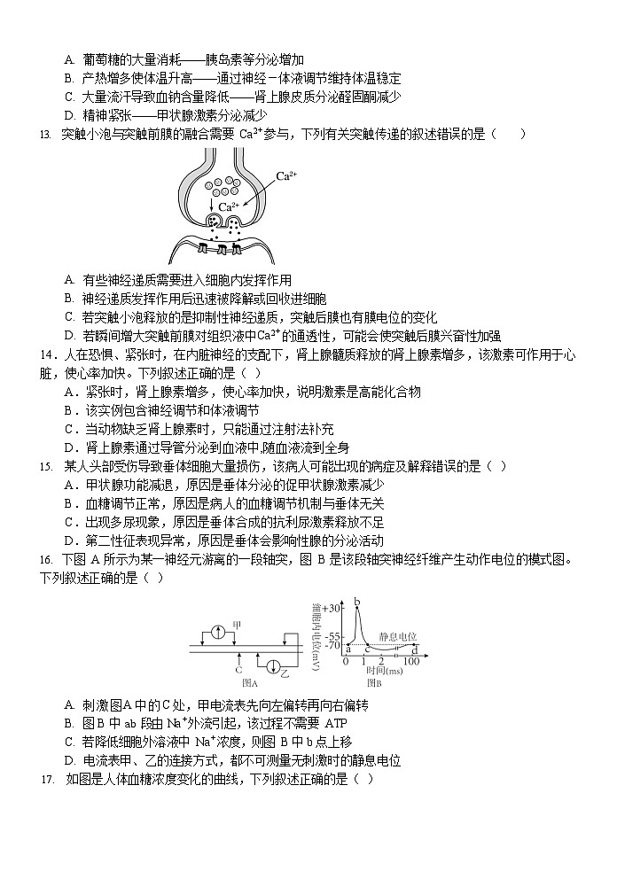 2024宁波三锋教研联盟高二上学期期中联考生物试题含答案03
