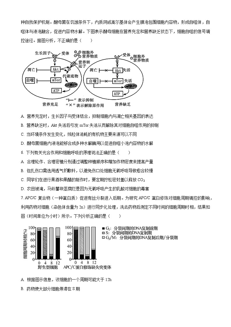 精品解析:江西省景德镇市2023-2024学年高三上学期第一次质量检测生物试题(原卷版)第2页