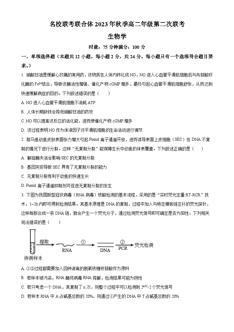 2024湖南省名校联考联合体高二上学期第二次联考(期中考试)生物试题含解析01