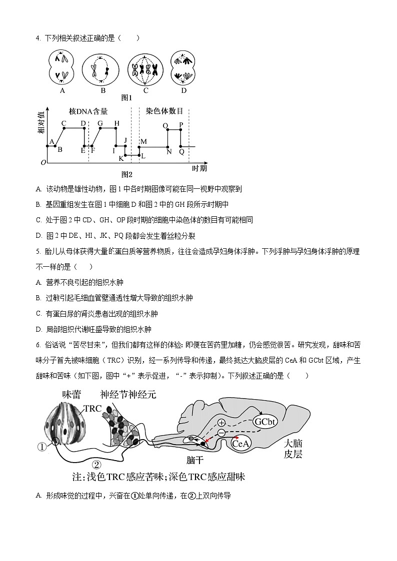 2024湖南省名校联考联合体高二上学期第二次联考(期中考试)生物试题含解析02