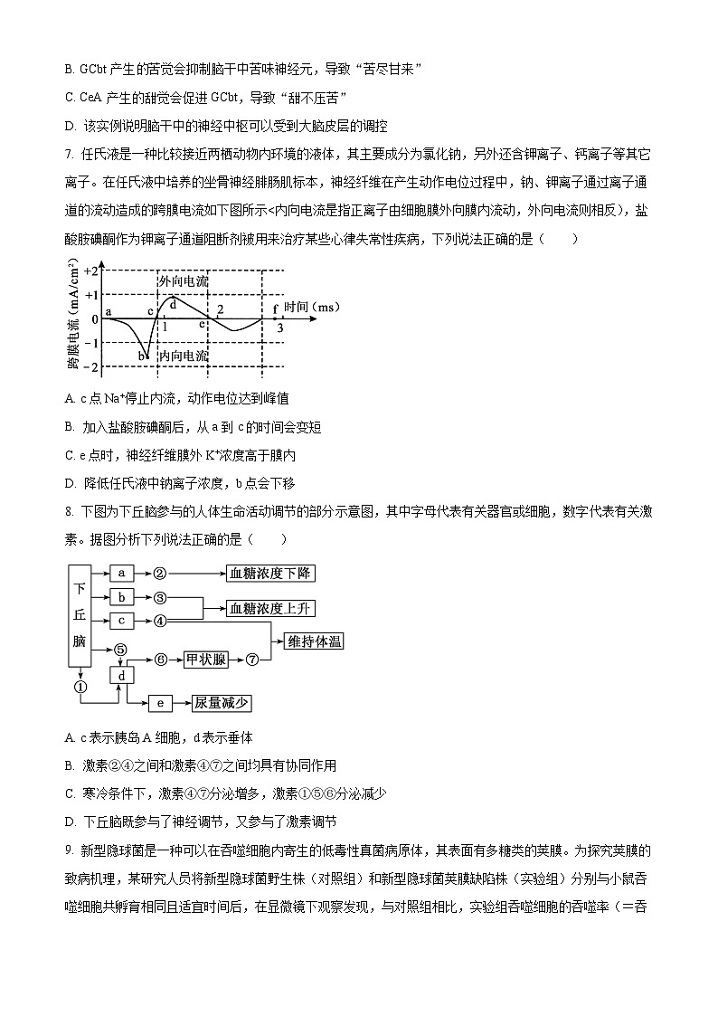2024湖南省名校联考联合体高二上学期第二次联考(期中考试)生物试题含解析03