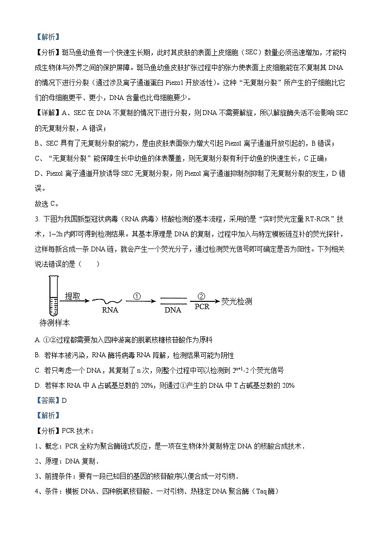2024湖南省名校联考联合体高二上学期第二次联考(期中考试)生物试题含解析02