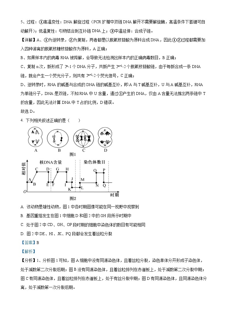 2024湖南省名校联考联合体高二上学期第二次联考（期中考试）生物试题含解析03