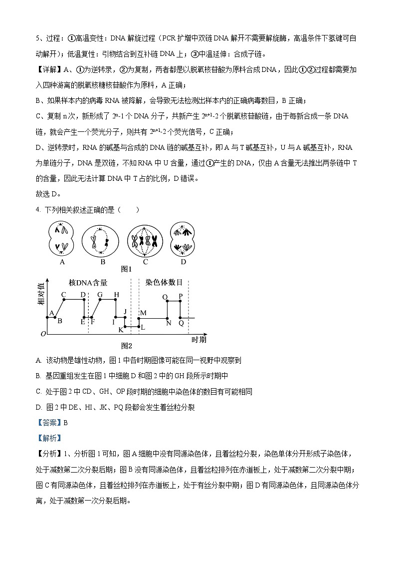 2024湖南省名校联考联合体高二上学期第二次联考(期中考试)生物试题含解析03