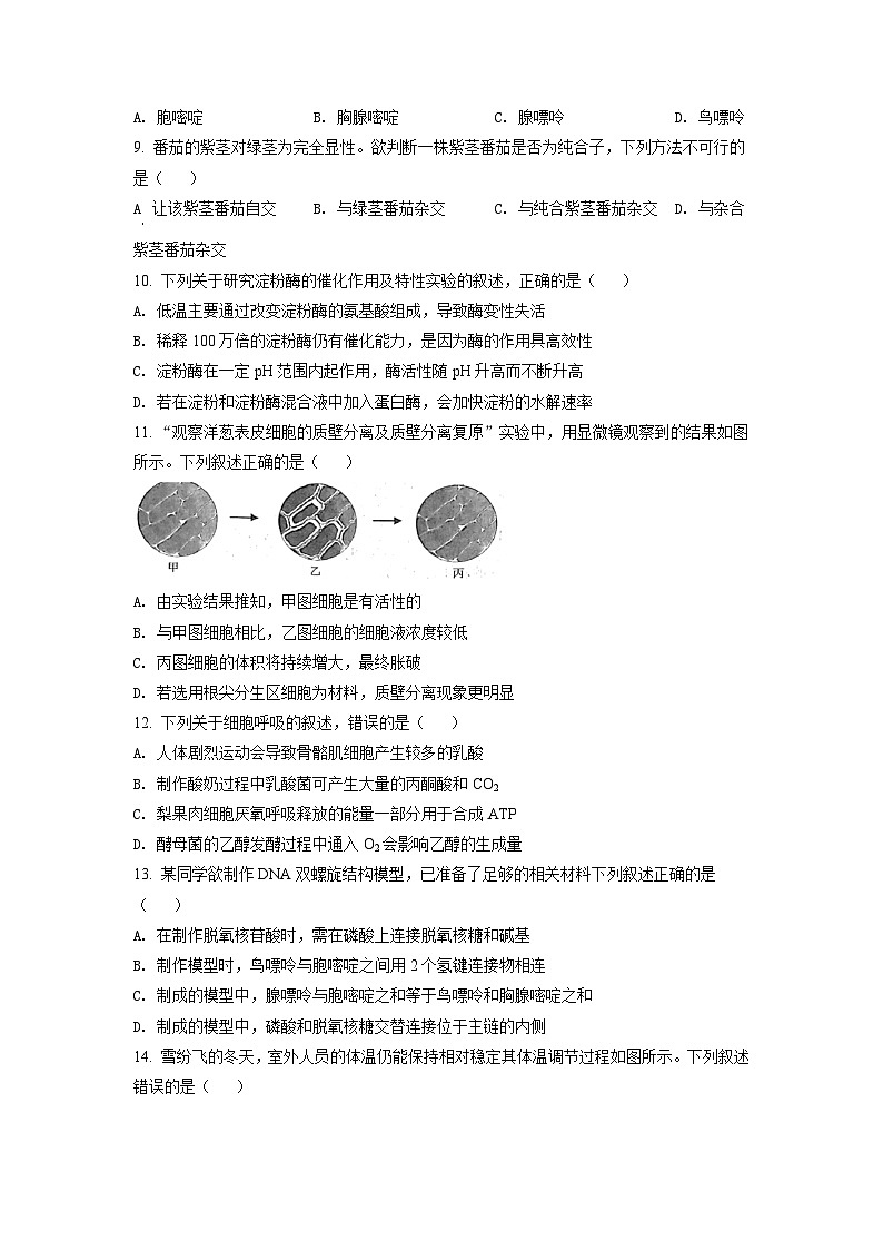2022年6月新高考浙江生物高考真题(原卷版)02