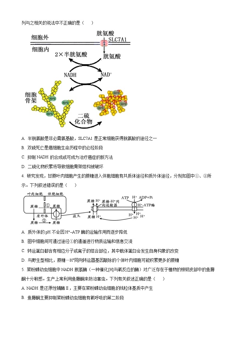 山东省滕州市2023-2024学年高三上学期期中考试生物（Word版附解析）02