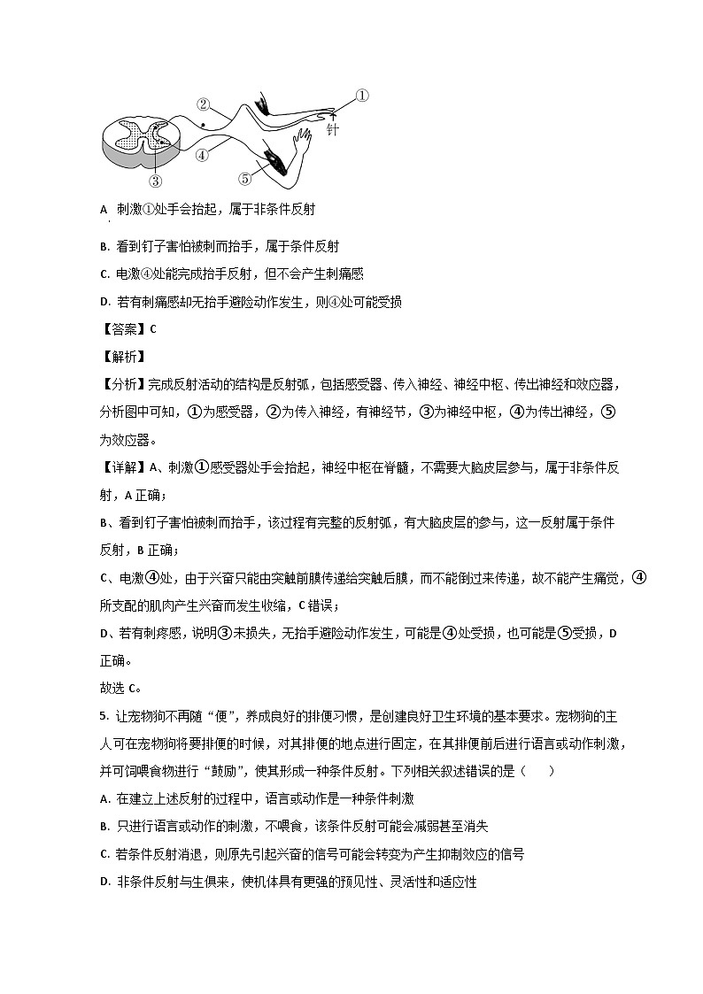 山东省滕州市第五中学2023-2024学年高二上学期10月月考生物试题(Word版附解析)第3页
