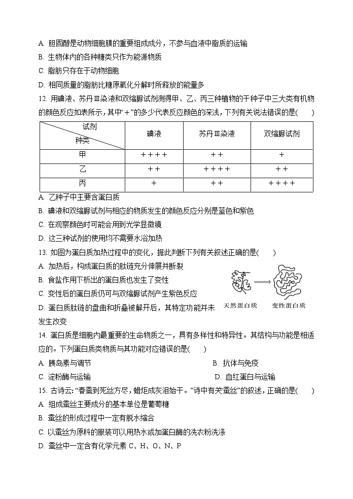 2022-2023学年陕西省西安市长安区第一中学高一上学期期中考试生物试题03