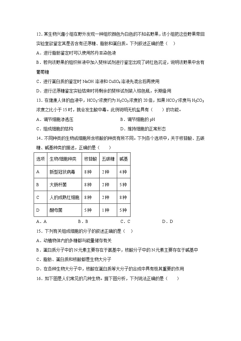 2022-2023学年四川省资阳市资阳中学高一上学期期中考试生物试题03
