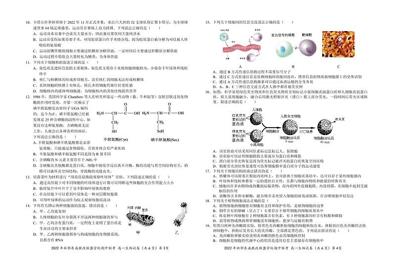 2022-2023学年湖北省鄂东南省级示范高中教育教学改革联盟学校高一上学期期中联考生物试题 PDF版第2页
