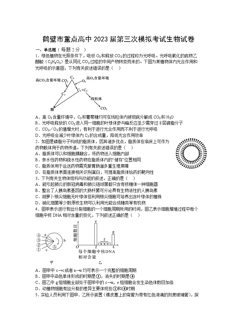 河南省鹤壁市重点高中2023届高三上学期第三次模拟考试生物试卷(含解析)第1页