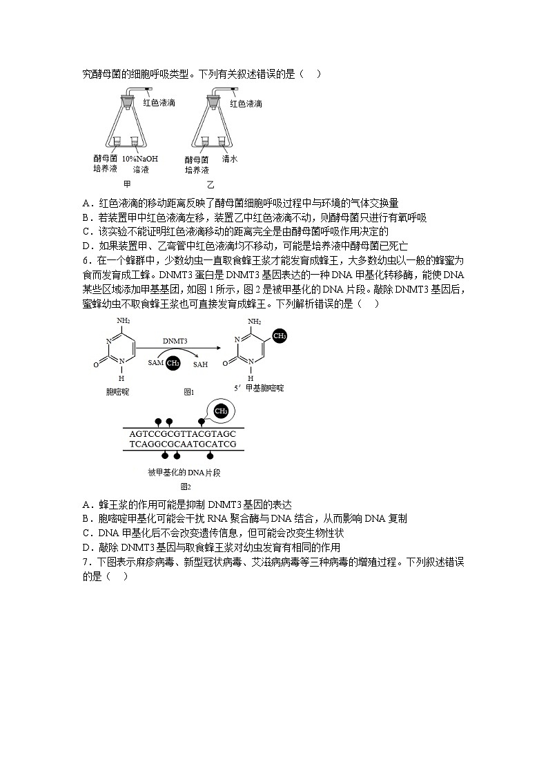 河南省鹤壁市重点高中2023届高三上学期第三次模拟考试生物试卷(含解析)第2页