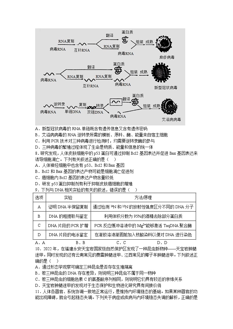 河南省鹤壁市重点高中2023届高三上学期第三次模拟考试生物试卷(含解析)第3页