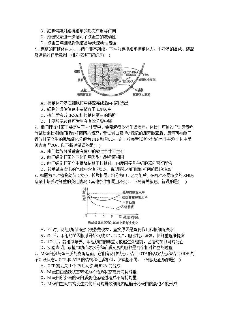 广东省实验中学2023-2024学年高三上学期第一次阶段考试生物(Word版附答案)02