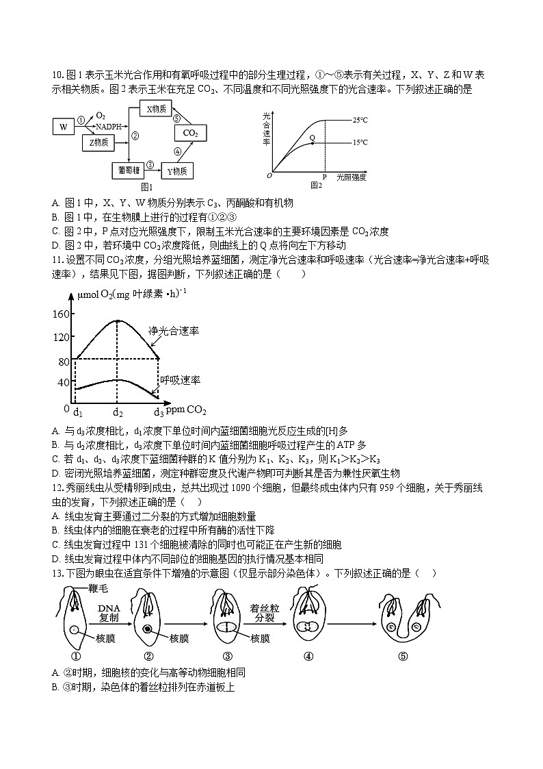 江西省南昌市三校2023-2024学年高三生物上学期第一次联考试题(Word版附答案)第3页
