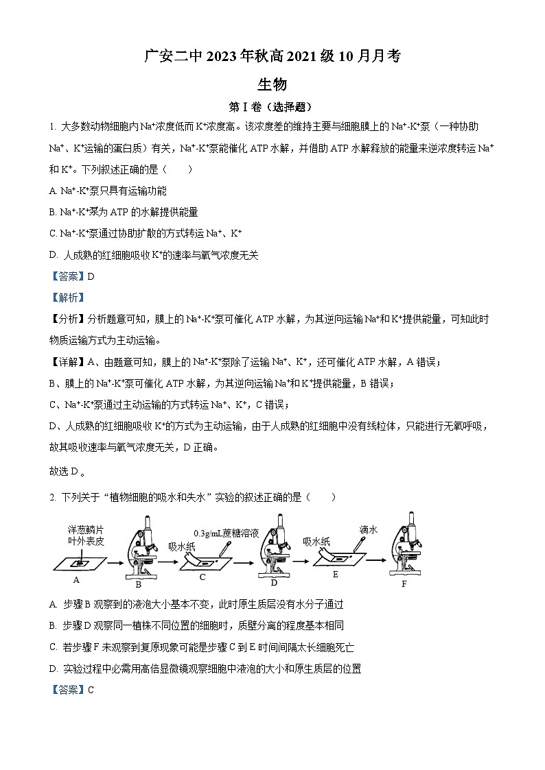 四川省广安市二中2023-2024学年高三生物上学期10月月考试题(Word版附解析)01