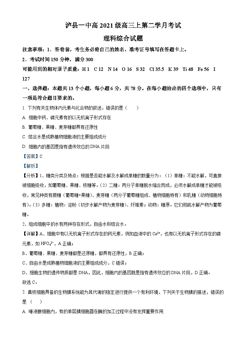四川省泸州市泸县一中2023-2024学年高三生物上学期10月月考试题(Word版附解析)第1页