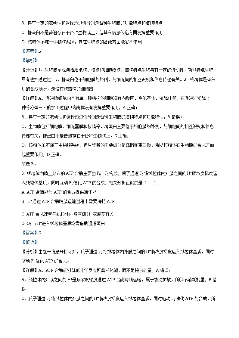 四川省泸州市泸县一中2023-2024学年高三生物上学期10月月考试题(Word版附解析)第2页