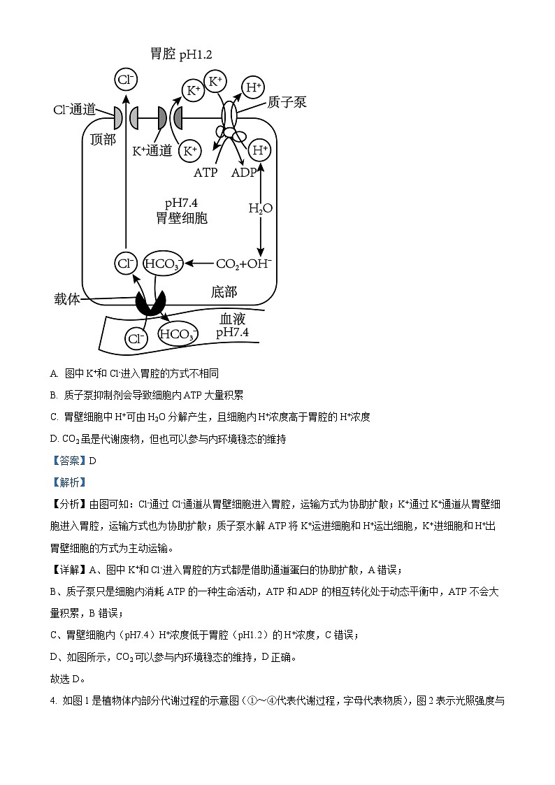 四川省閬中中學(xué)2023-2024學(xué)年高三生物上學(xué)期10月月考試題（Word版附解析）第3頁