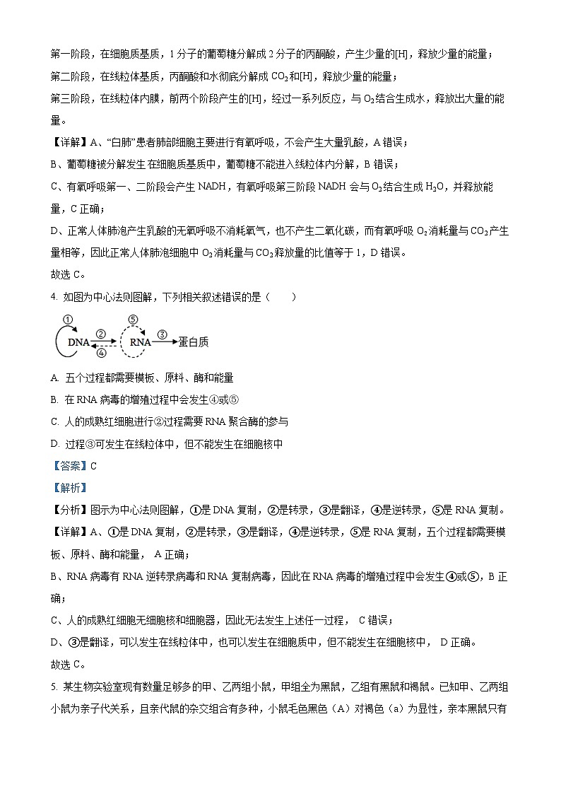 四川省绵阳市江油中学2023-2024学年高三生物上学期10月月考试题(Word版附解析)03