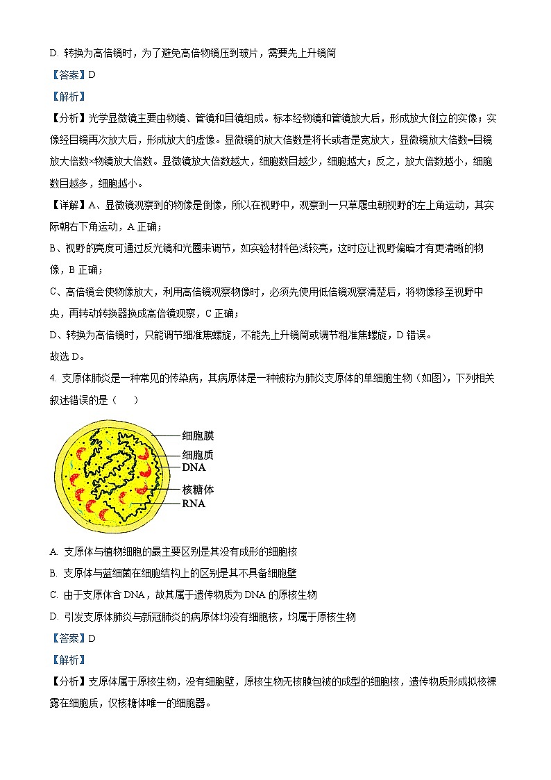 吉林省普通高中友好学校联合体2023-2024学年高一上学期第三十七届基础年段期中联考生物试题(解析版)第3页