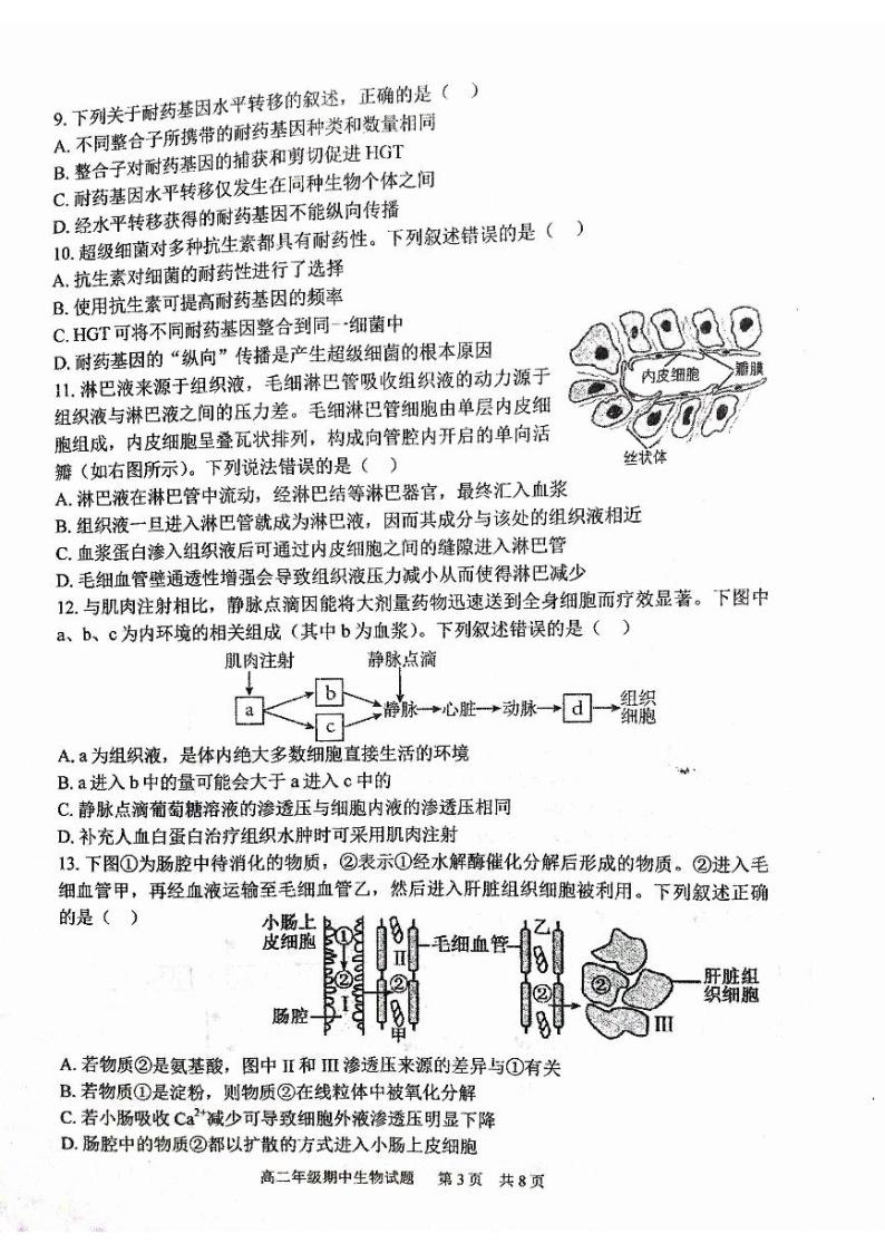 湖北省武汉市华中师范大学第一附属中学2023-2024学年高二上学期11月期中生物试题03