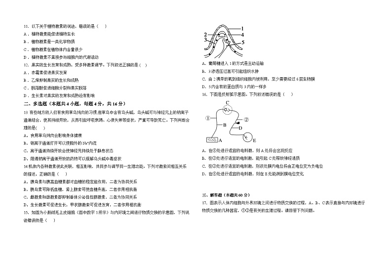 湖南省衡阳县第四中学2023-2024学年高二上学期11月期中生物试题第2页