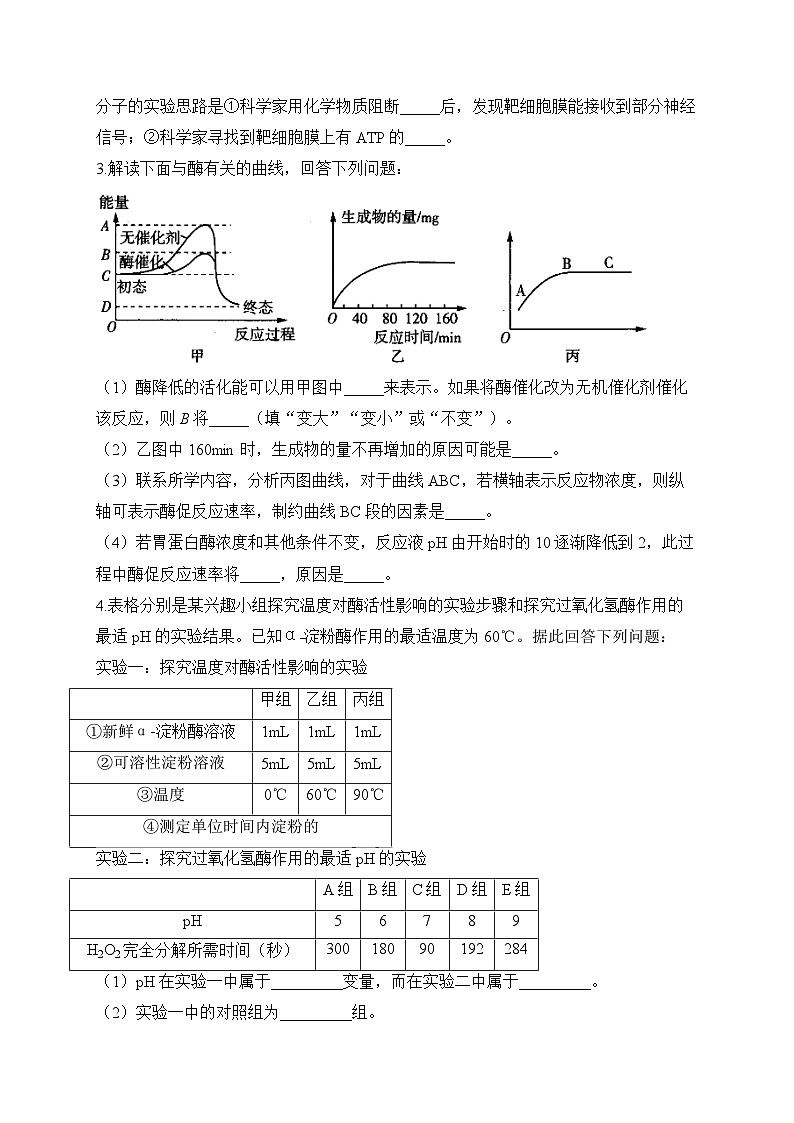 2024届高考生物一轮复习大题专练【配套新教材】(4)酶和ATP第2页