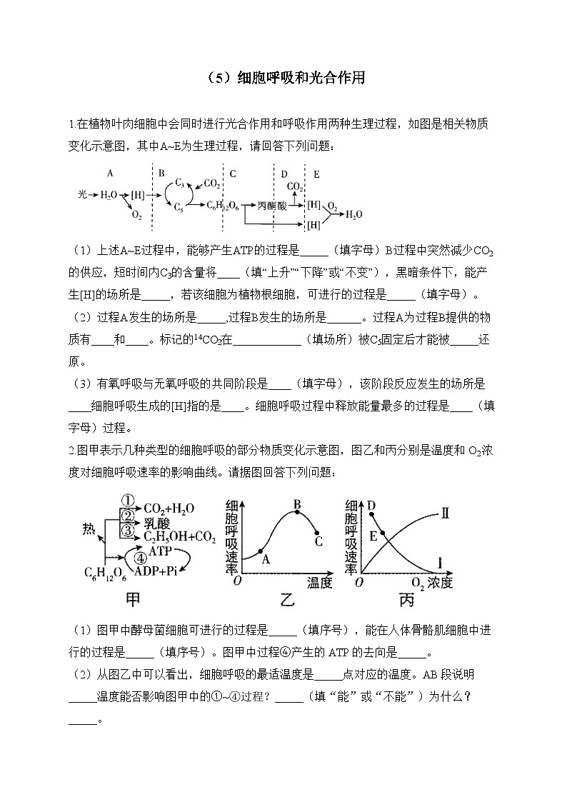 2024届高考生物一轮复习大题专练【配套新教材】(5)细胞呼吸和光合作用第1页