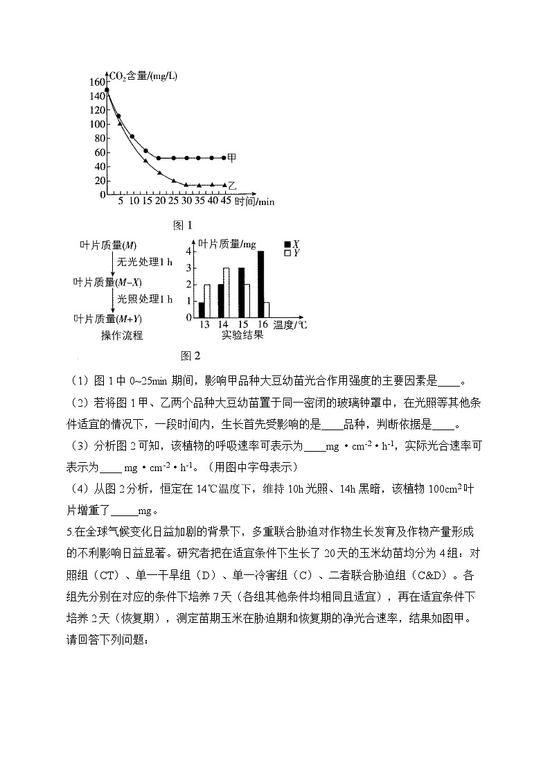 2024届高考生物一轮复习大题专练【配套新教材】(5)细胞呼吸和光合作用第3页