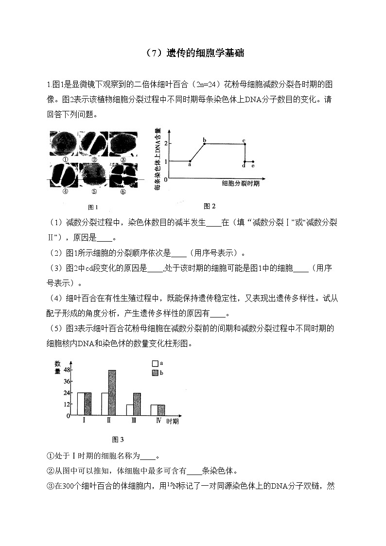 2024届高考生物一轮复习大题专练【配套新教材】(7)遗传的细胞学基础第1页