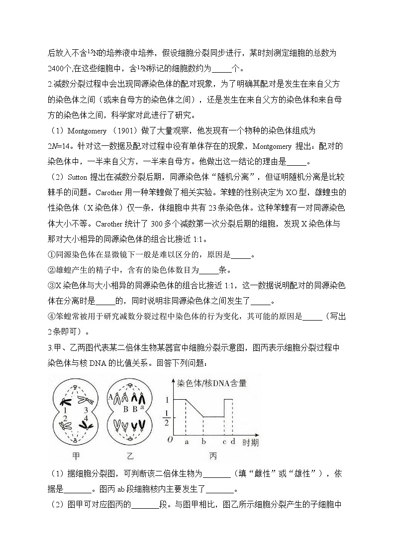 2024届高考生物一轮复习大题专练【配套新教材】(7)遗传的细胞学基础第2页