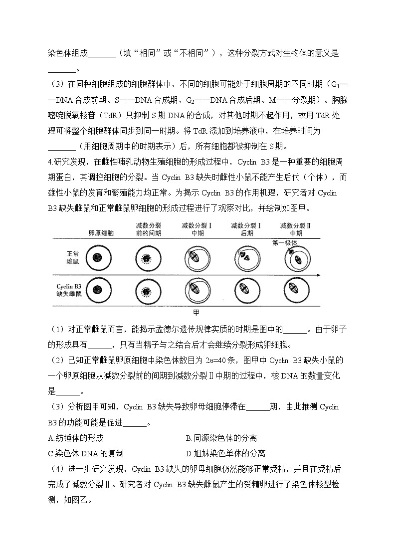 2024届高考生物一轮复习大题专练【配套新教材】(7)遗传的细胞学基础第3页