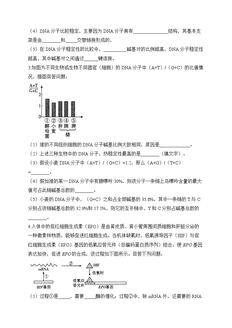 2024届高考生物一轮复习大题专练【配套新教材】(9)遗传的分子基础第2页