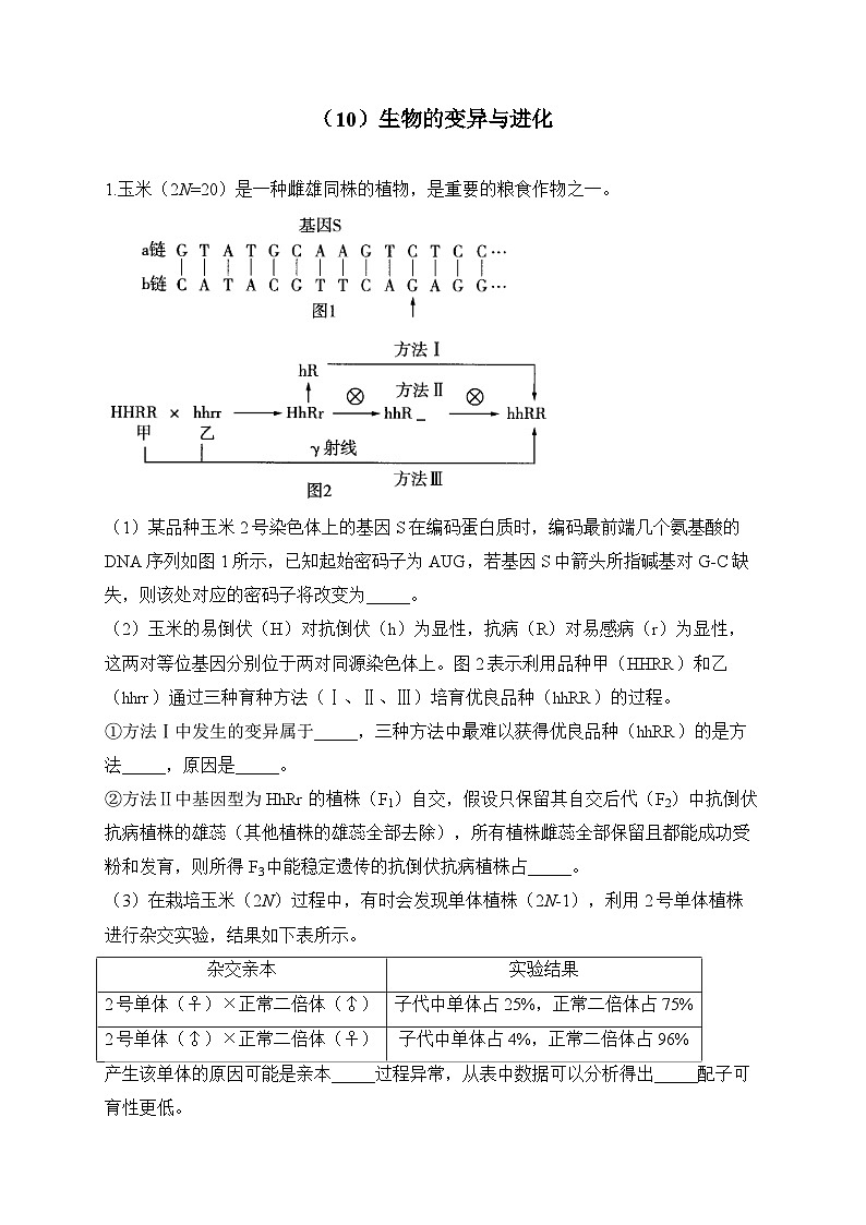 2024届高考生物一轮复习大题专练【配套新教材】(10)生物的变异与进化第1页
