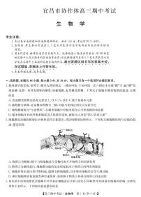 2024宜昌协作体高三上学期期中考试生物PDF版含答案