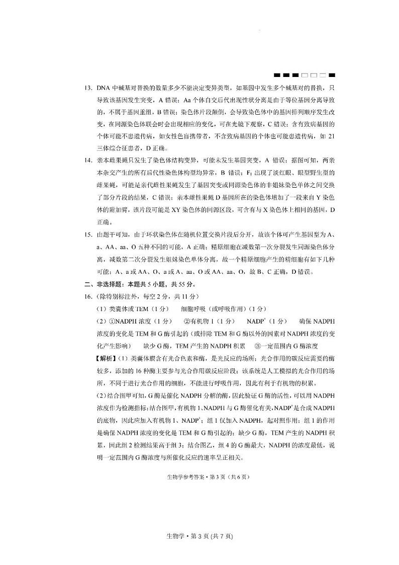 重庆市巴蜀中学校2023-2024学年高三上学期适应性月考卷(四)生物答案第3页