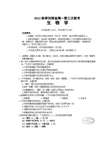 河南省部分名校2023-2024学年高一上学期11月期中考试生物试题（Word版附答案）