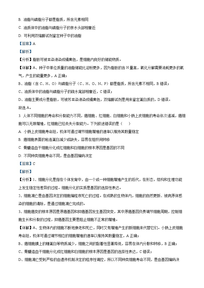 浙江省绍兴市2023-2024学年高三11月选考科目诊断性考试生物试题(Word版附解析)第2页