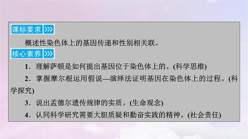 新教材适用2023_2024学年高中生物第2章基因和染色体的关系第2节基因在染色体上课件新人教版必修2第3页