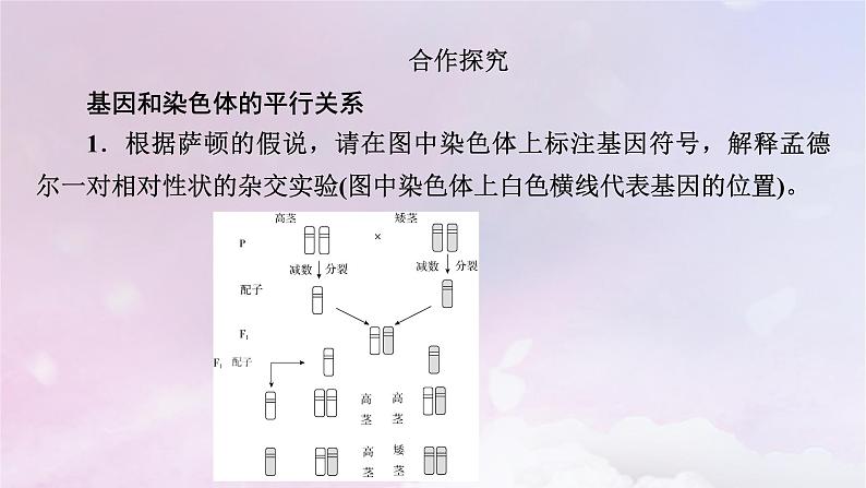 新教材适用2023_2024学年高中生物第2章基因和染色体的关系第2节基因在染色体上课件新人教版必修2第8页