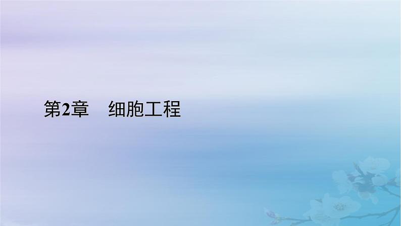 新教材适用2023_2024学年高中生物第2章细胞工程第1节植物细胞工程第1课时植物细胞工程的基本技术课件新人教版选择性必修3第1页