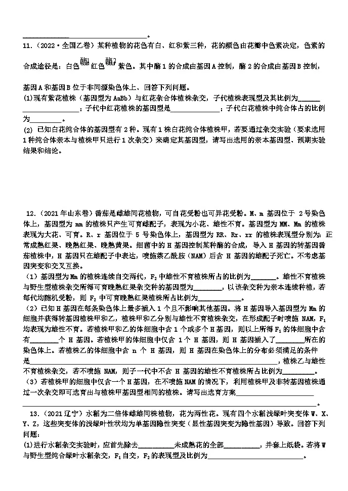 2024届高三一轮复习生物:遗传的基本规律练习第3页