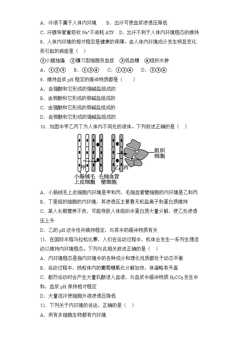 第1章人体内环境与稳态 单元练习 2023—2024学年高二上学期生物人教版选择性必修102