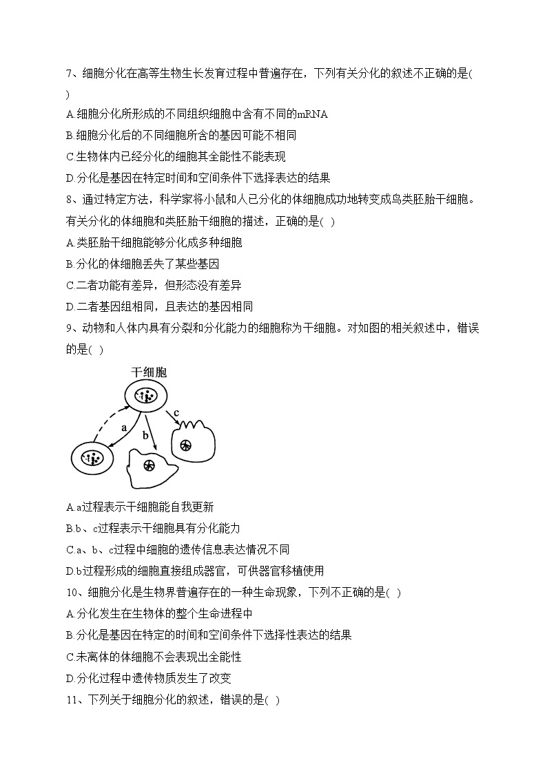 6.2细胞的分化（ 同步测试）—— 高中生物学人教版(2019)必修1(含答案)02