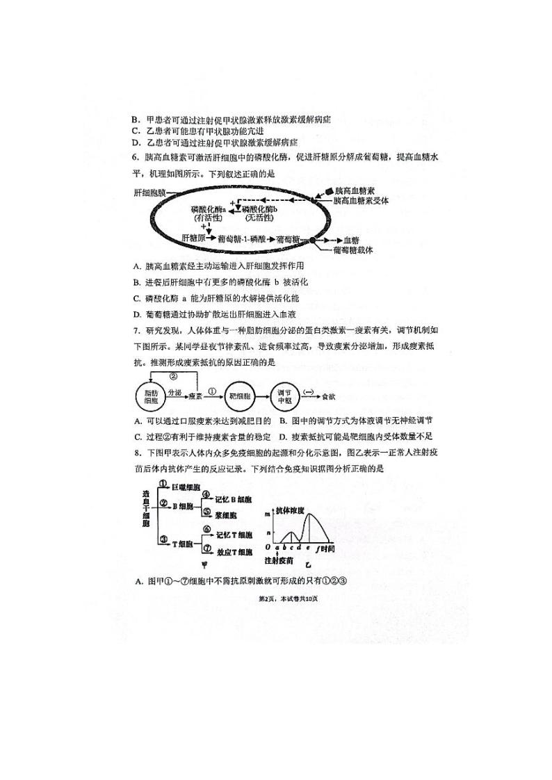 江苏省南通市海安市实验中学2023-2024学年高二上学期11月期中生物试题02