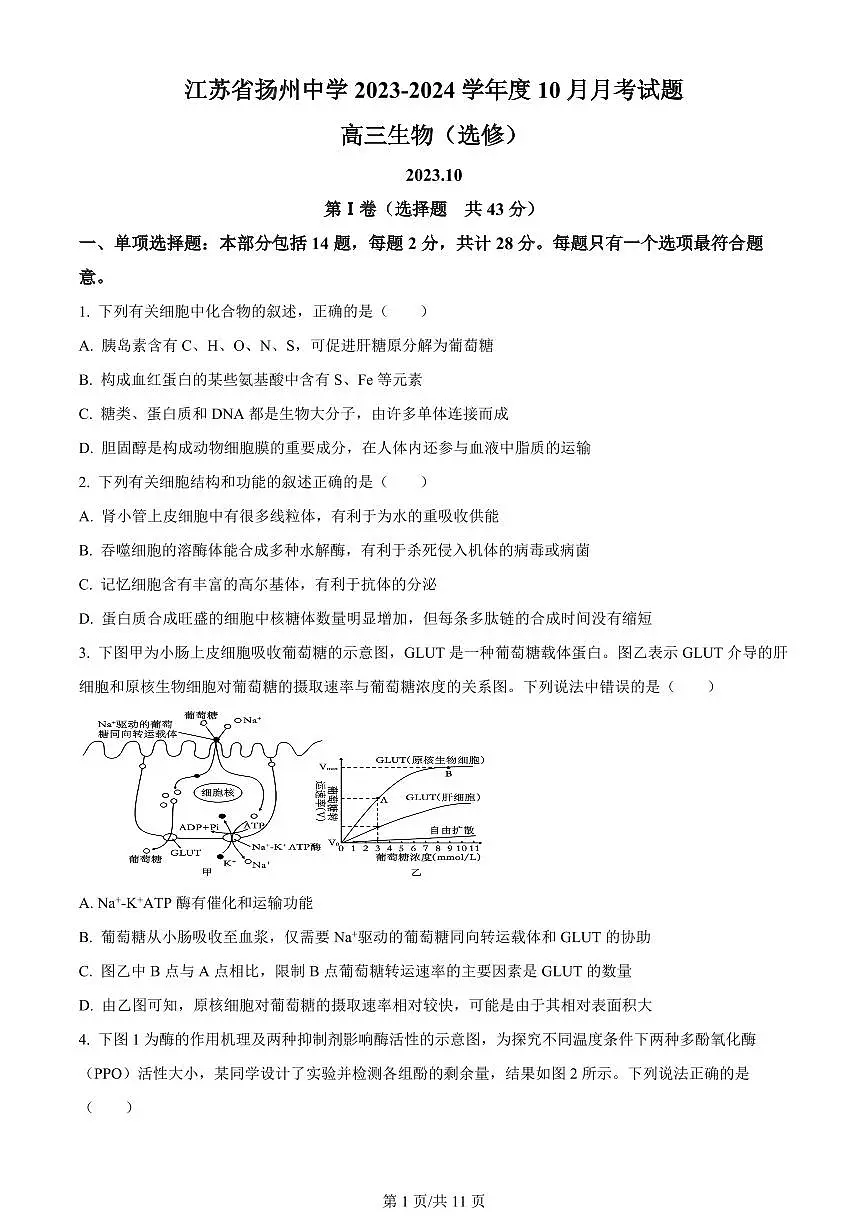 江苏扬2023年高三10月月考 生物试题(含答案)第1页